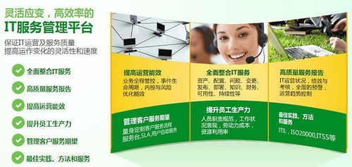 ServiceWise IT服务与运维外包 企业数字化运营的管理新范式